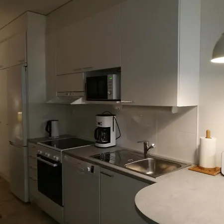 Rovavisit Siljo Apartment