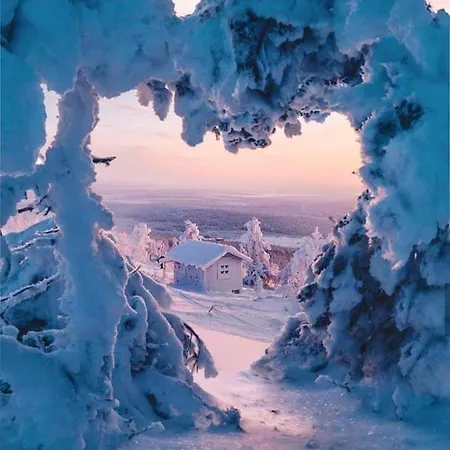 Virpi Rovaniemi