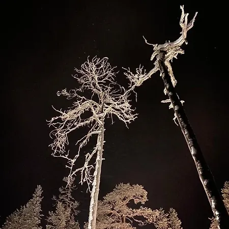 Lumia * Rovaniemi