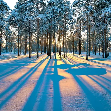 Golden Circle 4* Rovaniemi