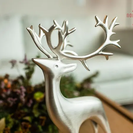 Appartement Nordica Design