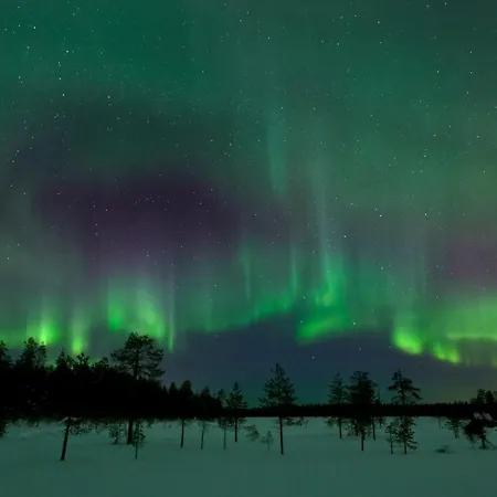 Taljatie Rovaniemi
