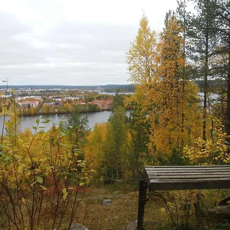 Homestay A In A Lapland House Of Dreams
