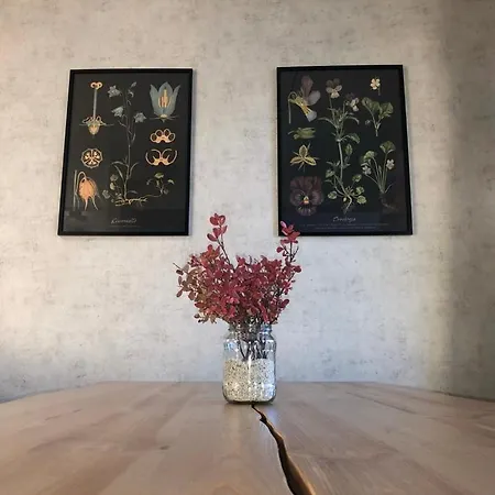 Northern Lights Center Apartment