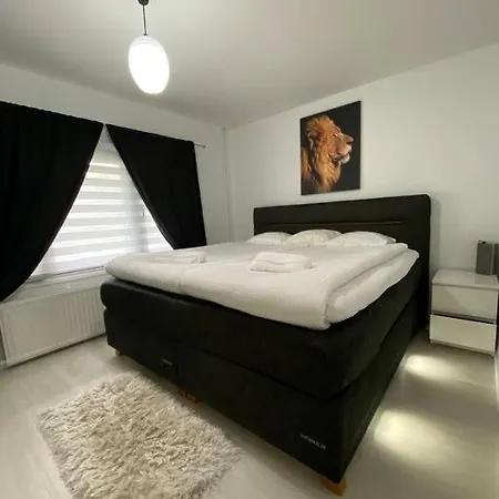 Modern Apt - King-size Bed - Wifi -self Check In Apartment *