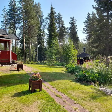 Waeltti * Rovaniemi