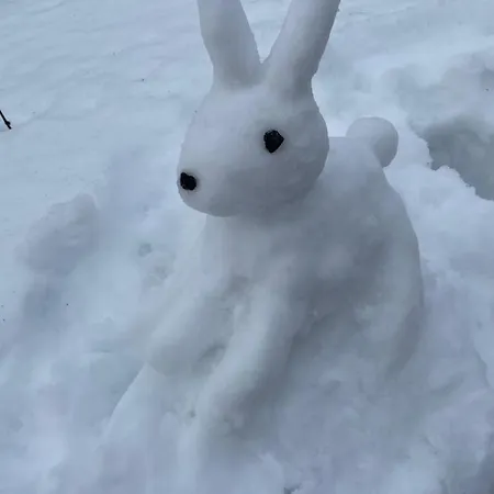 Tule Lomalle Luppoaikaan * Rovaniemi