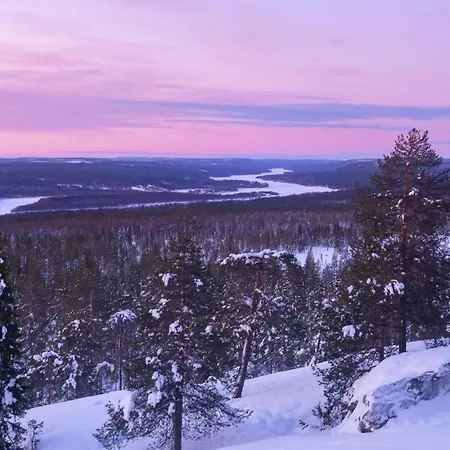 Arctic Nest