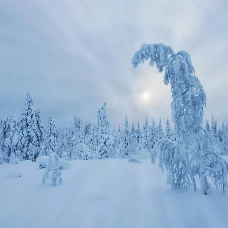 Skyfire Village Igloos - Includes Transportation, Meals&accommodation Village de vacances *