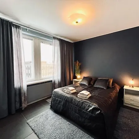 Majestic Penthouse With Sauna & High-speed Wi-fi And Parking Apartment Rovaniemi
