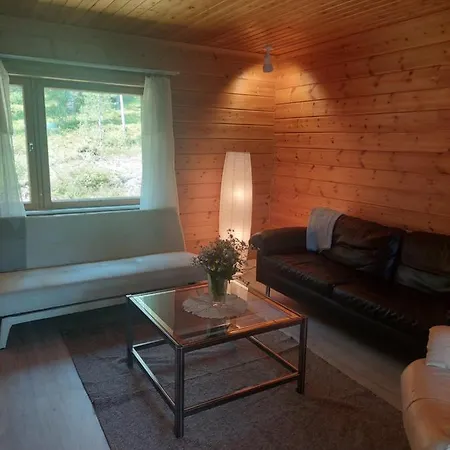 Aleksi With Sauna Apartment