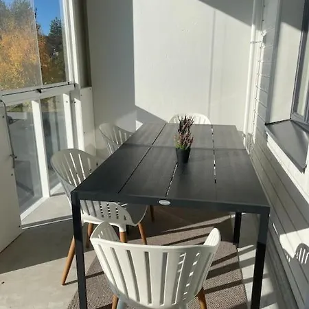 Studio Usva Apartment