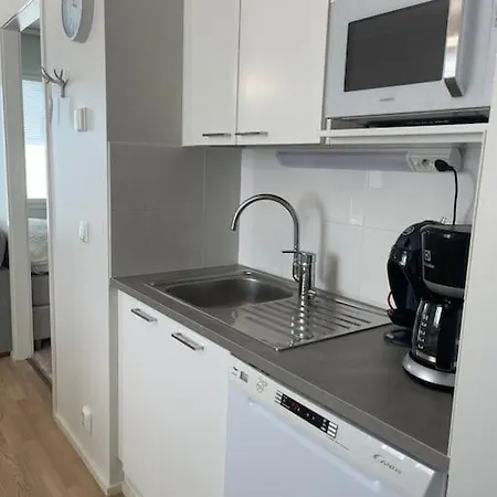 Apartment Studio Usva