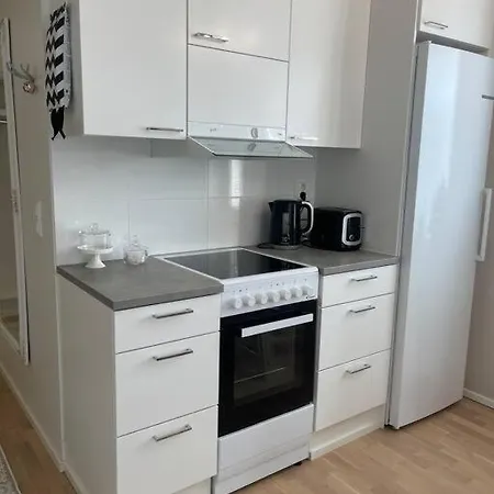 Studio Usva Apartment *