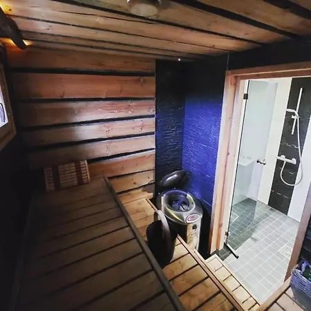 Villa In Lapland *
