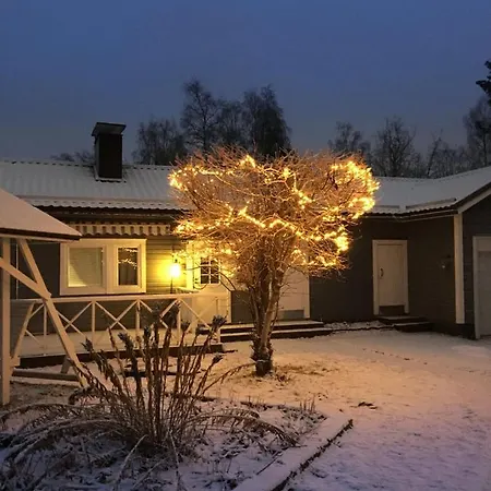 Aurora-center 1 *