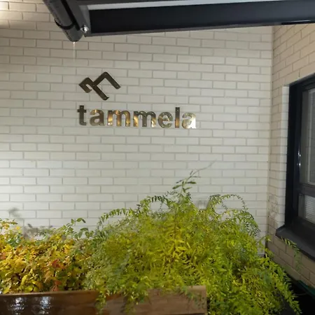 Arctic Tammela With Sauna And Free Parking Apartment *