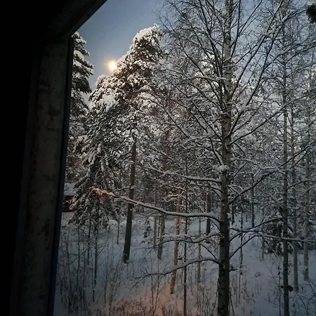 In Polar Circle Rovaniemi
