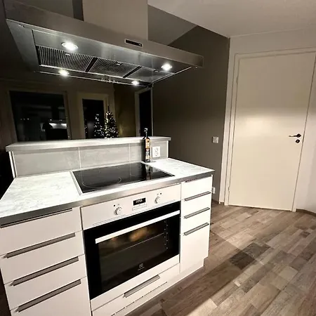 Apartment Spectacular With Sauna