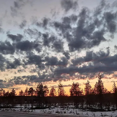 In Polar Circle