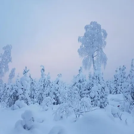 Pekkala Rovaniemi