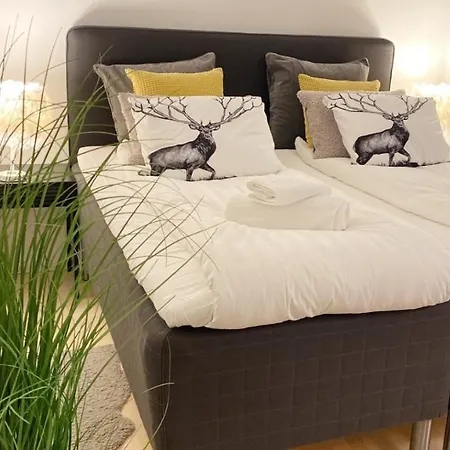 Apartment Ukko