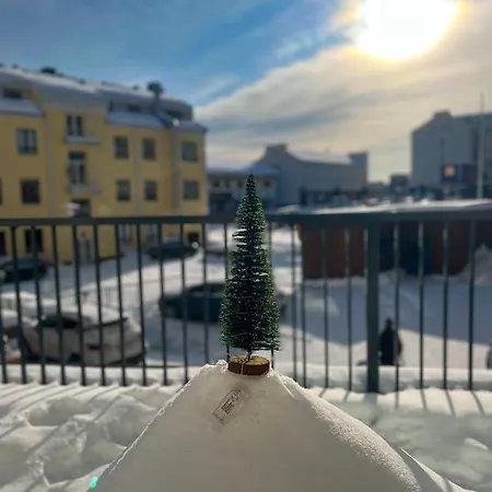 Winter Arctic * Rovaniemi