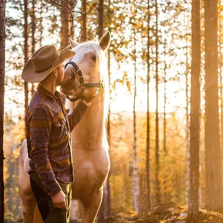 Glamping Laenlammen Tila Rovaniemi