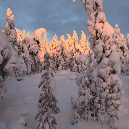Sarvi Villa Rovaniemi