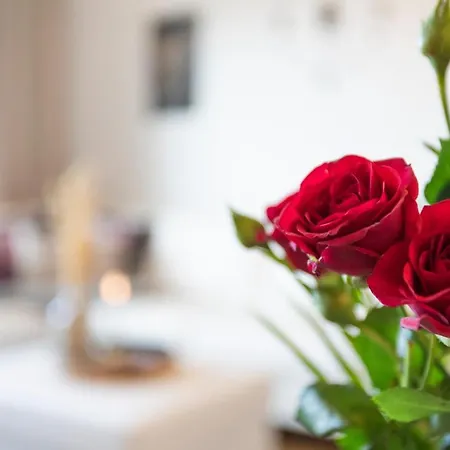 Vasko Luxurious Suites, Hiisi Apartment