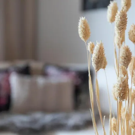 Apartment Vasko Luxurious Suites, Hiisi