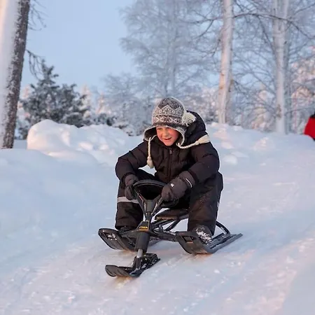 Lysti By The Lake And Magical Countryside Rovaniemi
