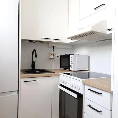Studio Fox Apartment Rovaniemi