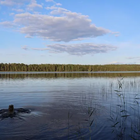 Kotatuli Forest Rovaniemi