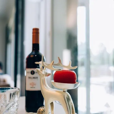 Ailo- Luxury Rovaniemi