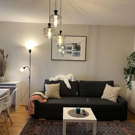 Apt 37