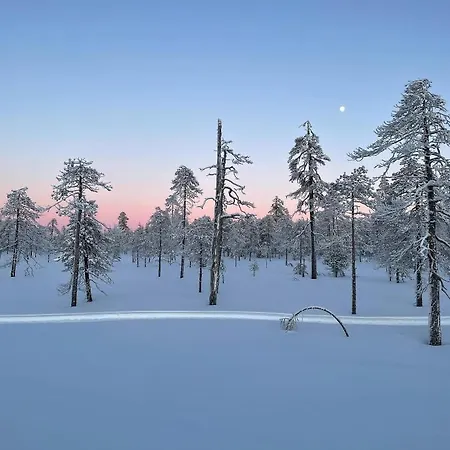 Sofia City * Rovaniemi