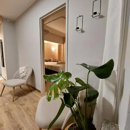 Traveller's Nest Apartment