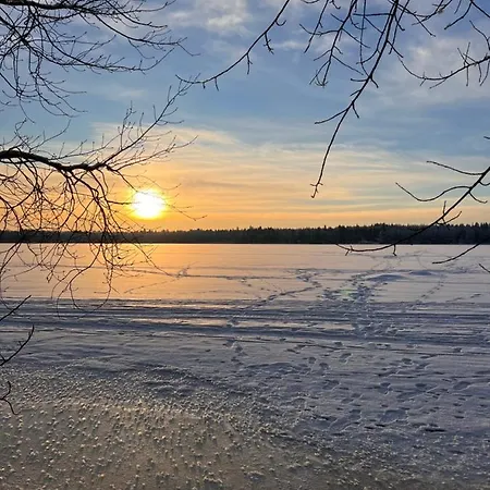 Lakeside Salmi