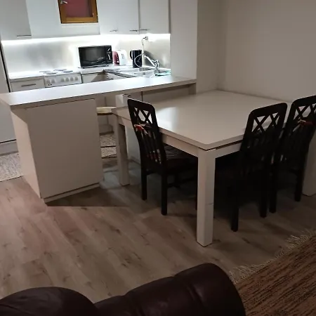 Apartment Reki *