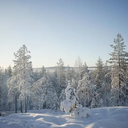 Apartment Vaalea Rovaniemi