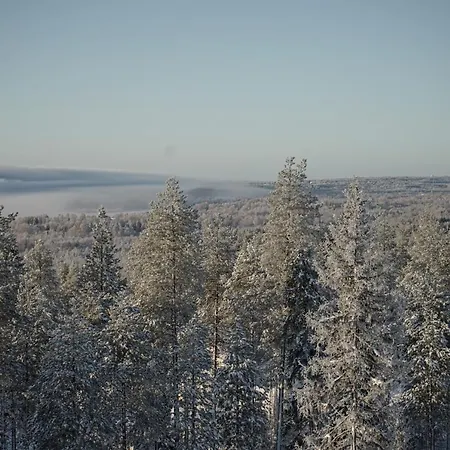 Vaalea * Rovaniemi