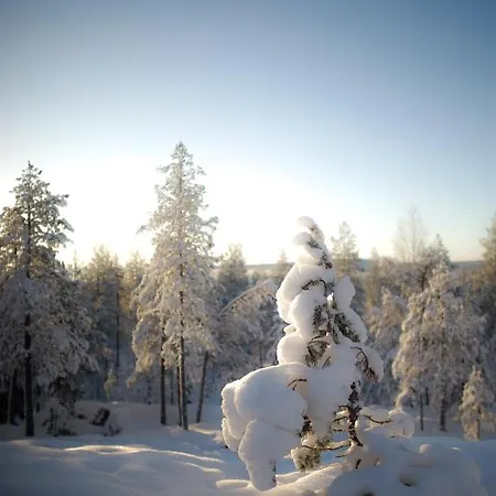 Vaalea Rovaniemi