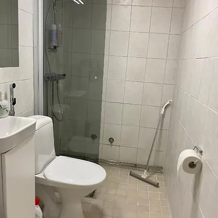 Joy - Cosy 950m From The Train Station Apartment Rovaniemi