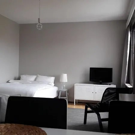 Northern Haven -studio Apartment, Self Check In, Free Wifi, Parking- Apartment Rovaniemi
