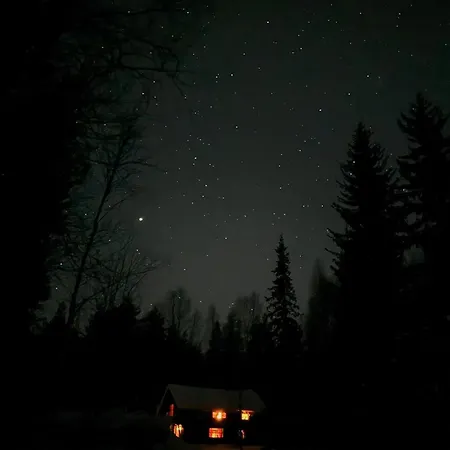 Holiday home Lakeside Log Edith *