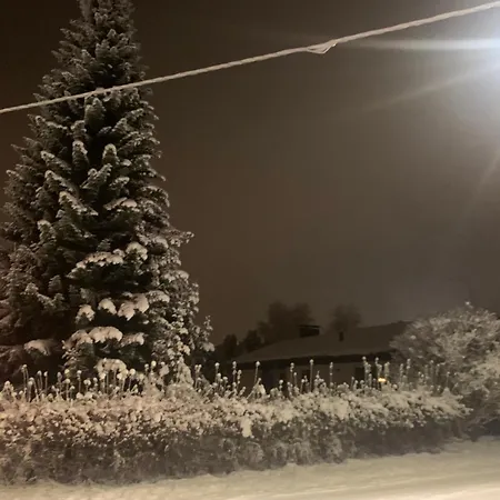 Tatu * Rovaniemi