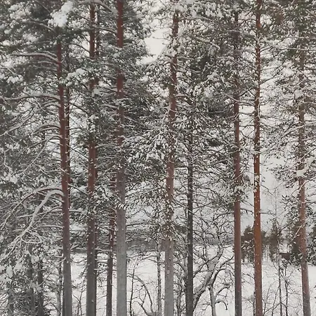 Royal Reindeer Lakeside