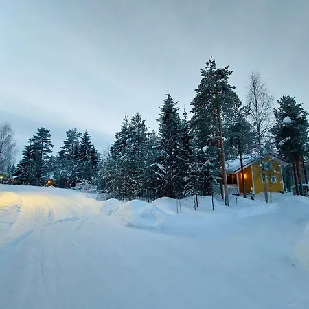 Lapland Forest *