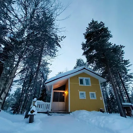 Lapland Forest * Rovaniemi
